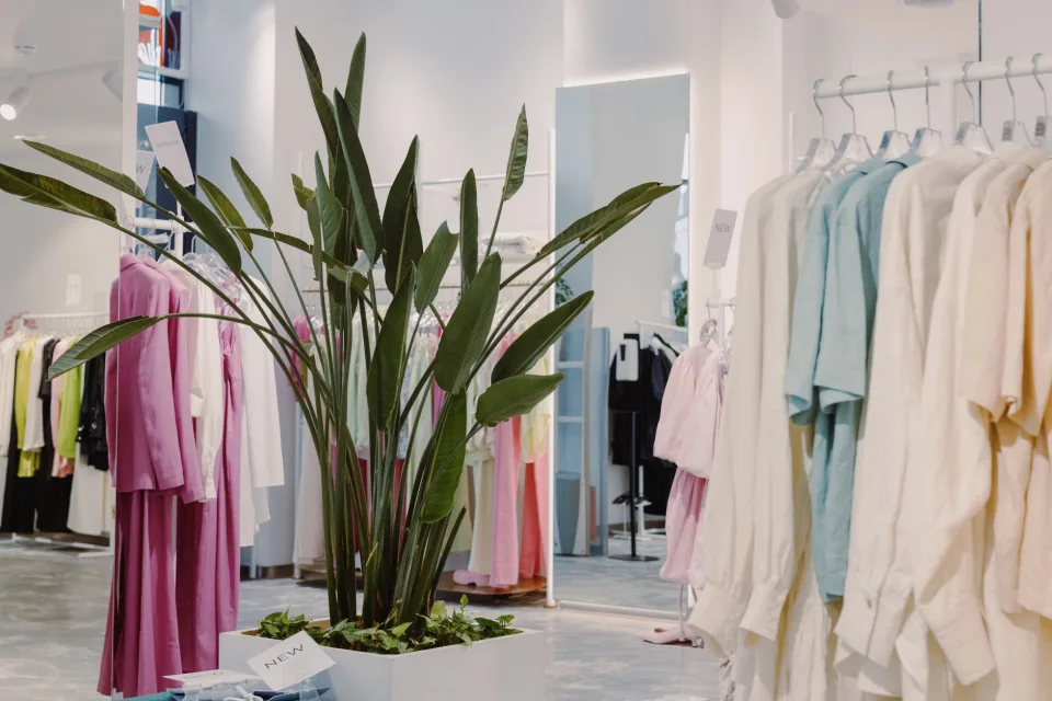 Mẫu đang có tại shop